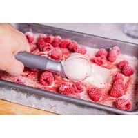 Ложка для мороженого KitchenAid Coreline 21,6 см KAS117OHCGG