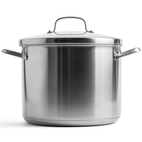 Кастрюля с крышкой KitchenAid Proline 8 л CC004785-001